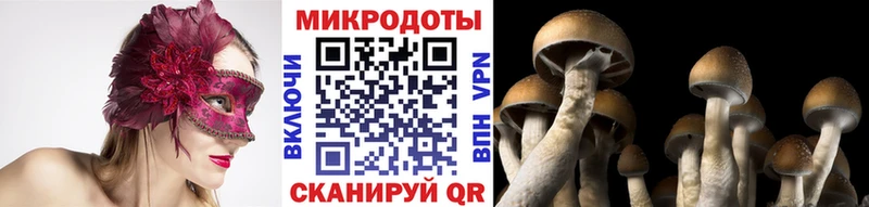 Псилоцибиновые грибы MAGIC MUSHROOMS  Звенигово 